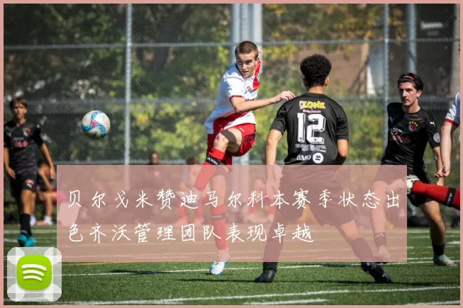 贝尔戈米赞迪马尔科本赛季状态出色齐沃管理团队表现卓越